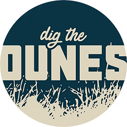 dtd-250 Dig the Dunes logo