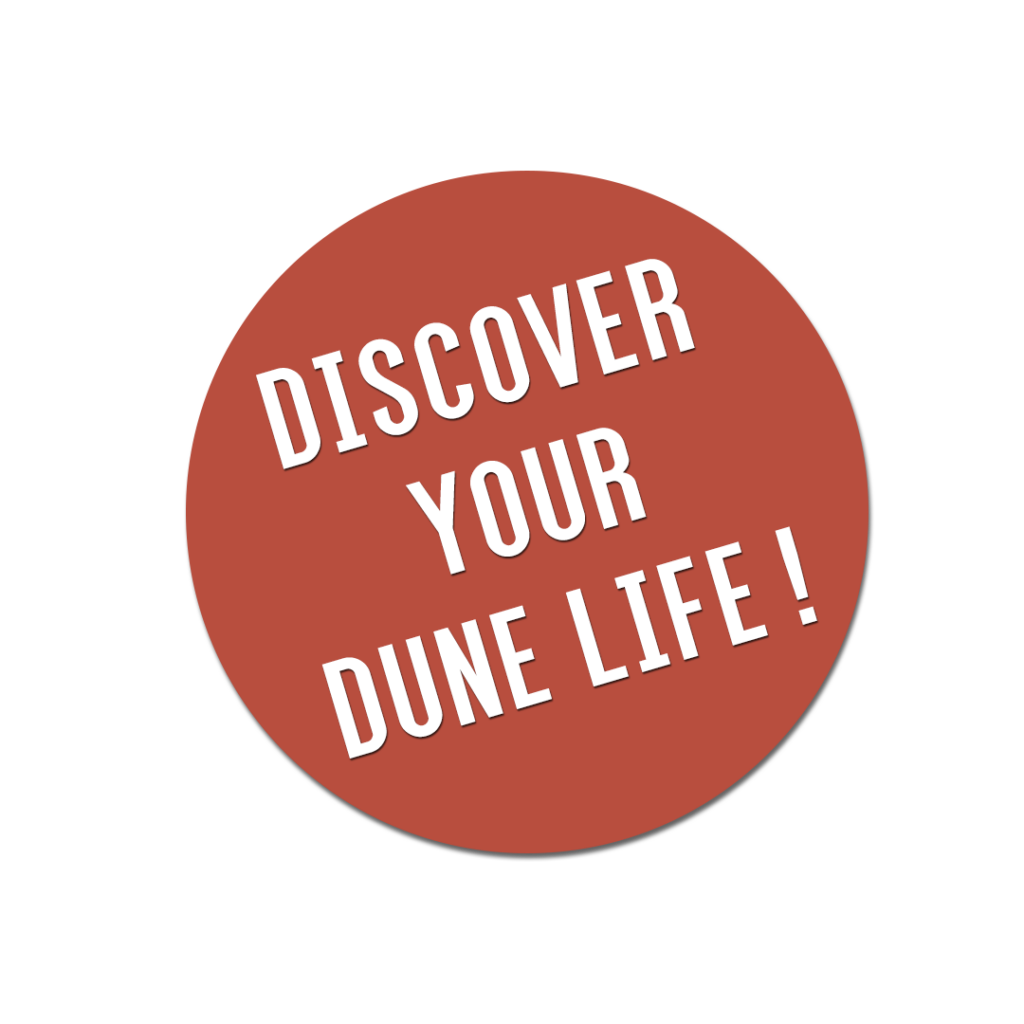 discover-your-dunelife discover-your-dunelife