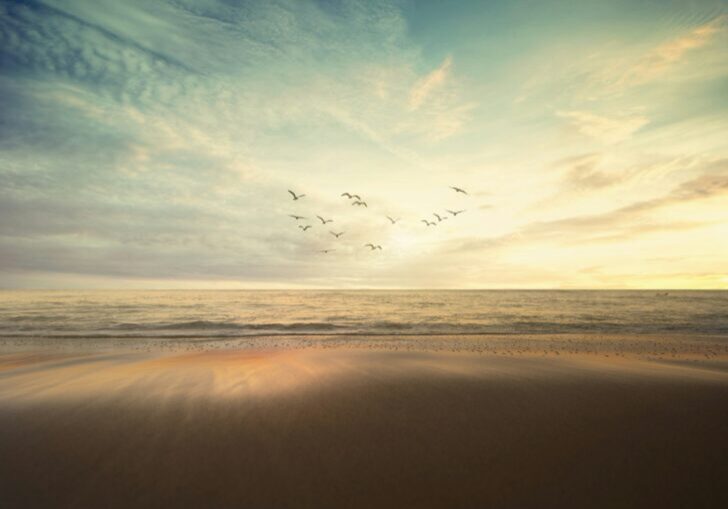 frank-mckenna-CSeCKeW4TM0-unsplash frank-mckenna-CSeCKeW4TM0-unsplash