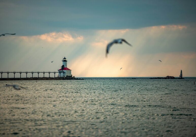 laport-county-featured-search laport-county-featured-search