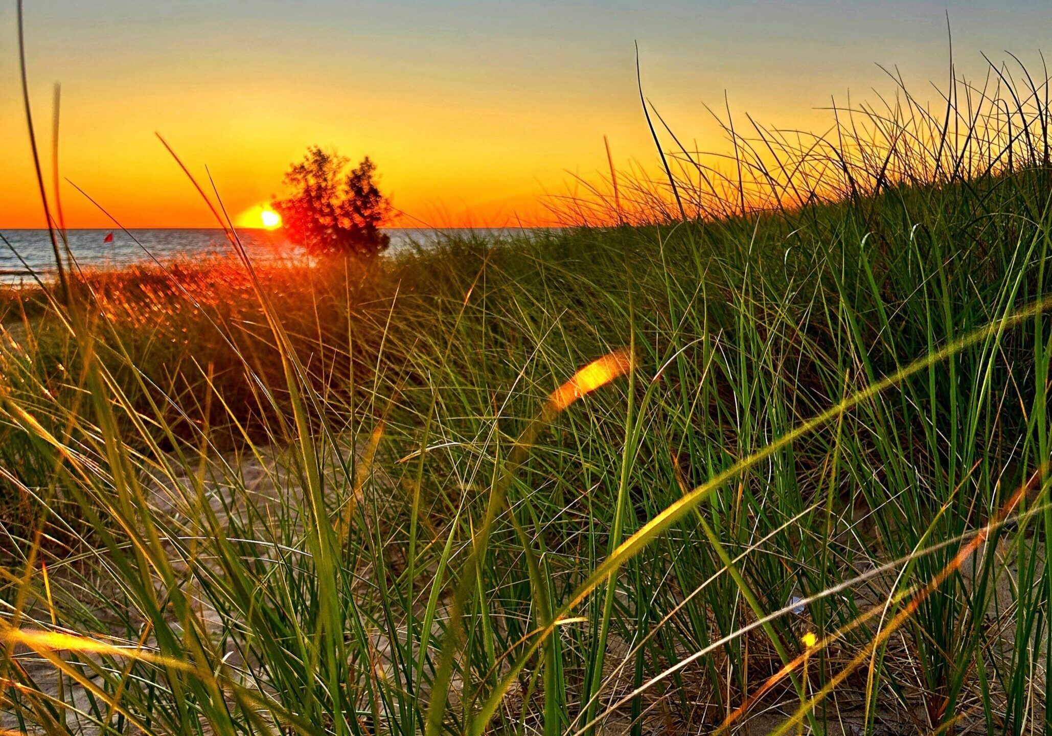 pexels-michael-misuraca-314145205-26841059